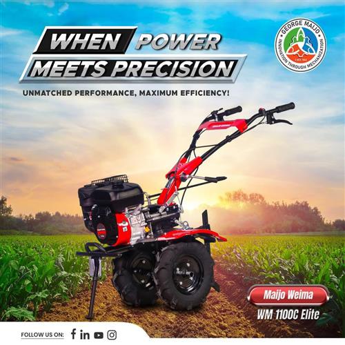 POWER WEEDER WM 1100C Elite